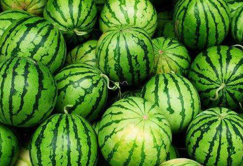 发烧可以吃田瓜吗,田瓜能否成为食疗佳选？