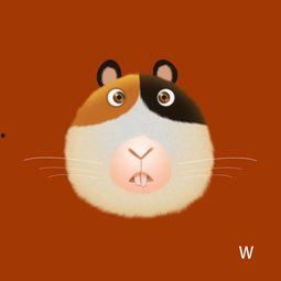 云猫吃瓜,揭秘网络时代的趣味现象