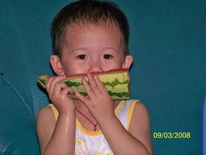 楠楠吃瓜合集,揭秘娱乐圈幕后故事