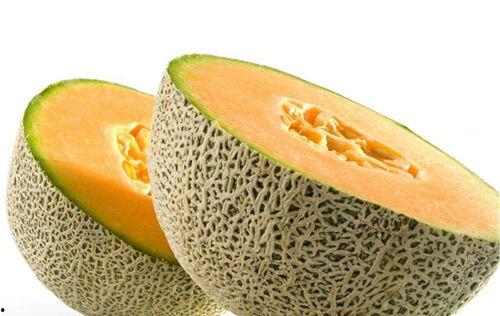 哈密瓜的幼瓜可做菜吃吗,美味可口的蔬菜新选择
