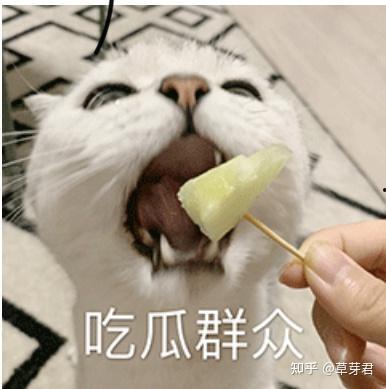 吃瓜表面现象,揭秘吃瓜群众背后的真相与现象