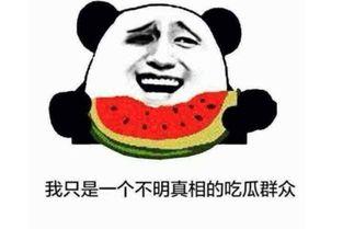 吃瓜交友是什么意思,网络社交新趋势的兴起与影响