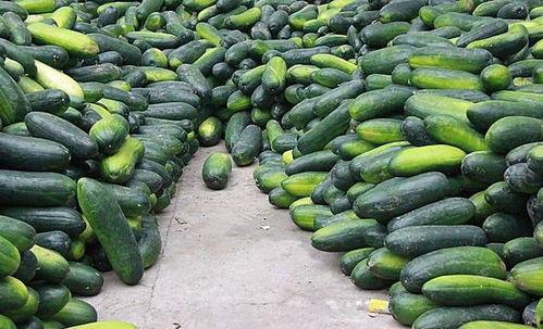 博雅吃瓜图片大全高清,高清图集里的趣味时光