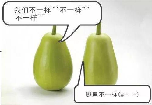 警告吃瓜的视频,揭秘网络视频中的虚假警告