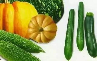 春归吃瓜,品味时光流转中的甜蜜瓜香